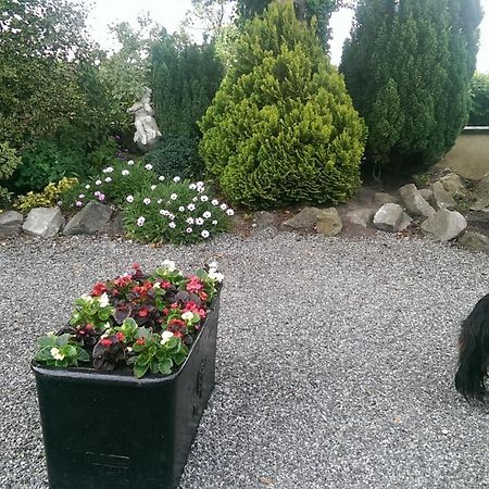 The Ring Farmhouse Birr Exterior photo