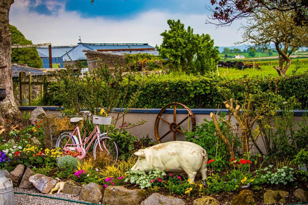 The Ring Farmhouse Birr Exterior photo