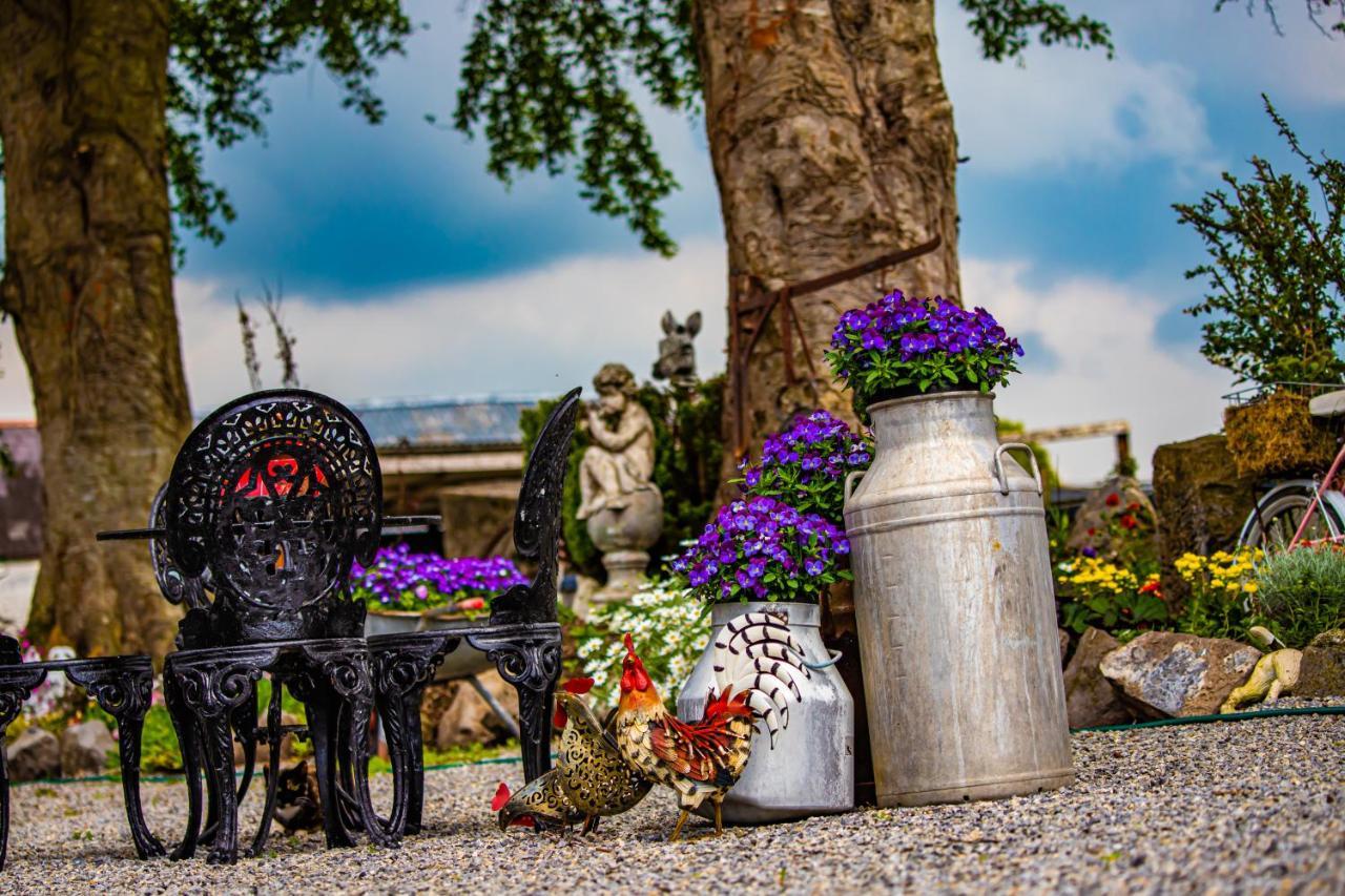 The Ring Farmhouse Birr Exterior photo