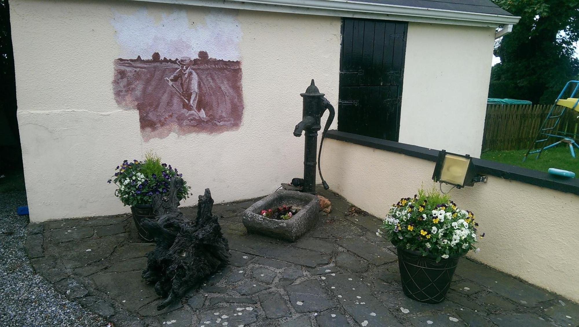 The Ring Farmhouse Birr Exterior photo