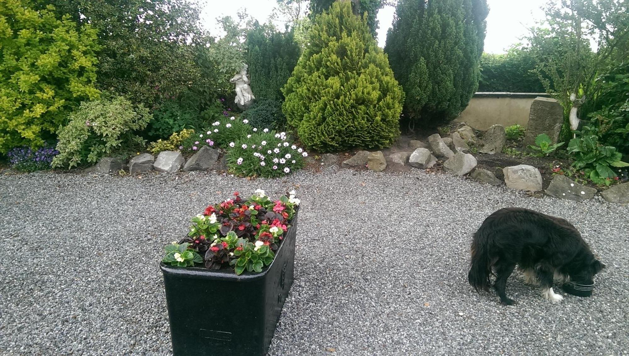 The Ring Farmhouse Birr Exterior photo